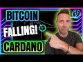 Bitcoin FALLS Through $30k. Cardano Discount INCOMING!