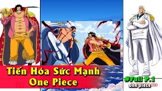 Tiến Hóa Sức Mạnh One Piece【FULL】Thời đại Hải Tặc Bắt Đầu
