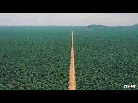 العفاسي يؤانسني ذكر الحبيب في خلوتي