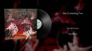 Immolation - Into Everlasting Fire (Vinyl Visualizer)