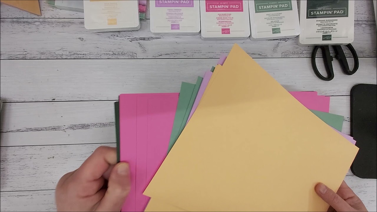 Stampin' Up! Pre order Demonstrator Stampin' Up! ®