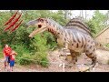 VLOG - RENCONTRES AVEC LES DINOSAURES À DINO'S PARK !