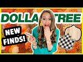 WHAT?!?! 🍁 Fall Decor in stores already?! What you SHOULD buy at Dollar Tree July & August 2021