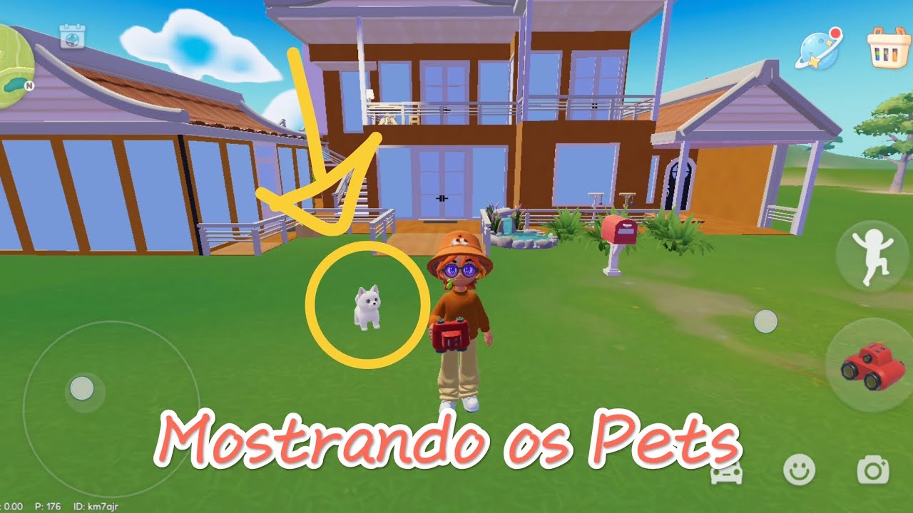 Pets Heartopia, um pouco das funções
