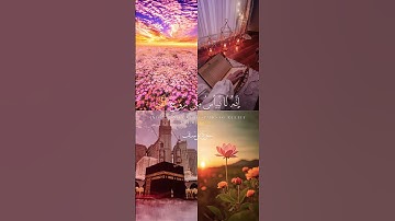 وَلَا تَيْأَسُوا مِن رَّوْحِ اللَّهِ ۖ #قرآن  #سورة_يوسف