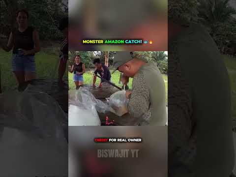Monster Amazon Catch! 🐟🔥