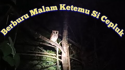#Berburu | Aseak OTT Ruak2 Ketemu Burhan Cantik @bukansniperbisu