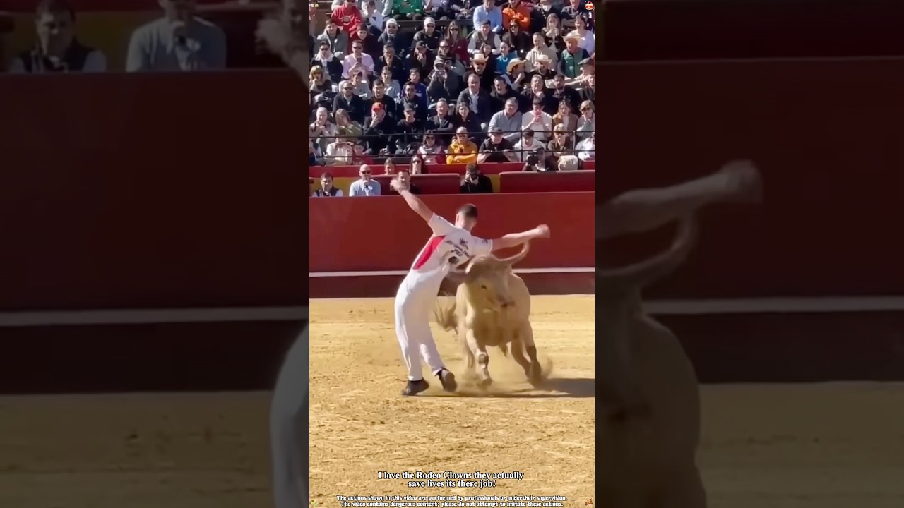 A spectacular bullfighting performance 🐂 #Bullfighting#SpanishBullfight#Matador #bullriding#fyp