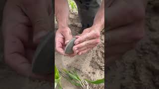 Finding a Native American Axe