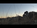 Wicked Close Range Early Morning Coyote Kill! Howling For Predators and Using Crow Decoys!