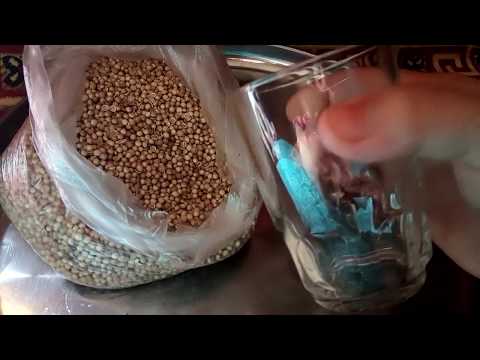 للمتزوجات فقط الايجابة عن كل التساؤلات التي تخص استعمال الكسبر كبديل لحبوب منع الحمل