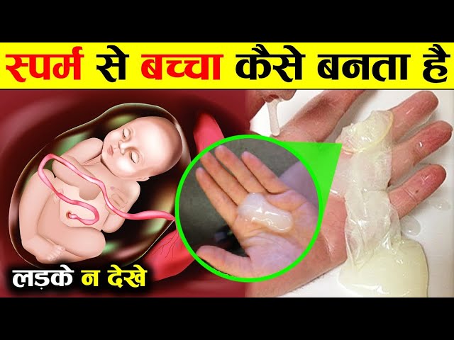 Aurat Bachcha Kaise Deti Hai Xnx - à¤¸à¥à¤ªà¤°à¥à¤® à¤¸à¥‡ à¤ªà¥‡à¤Ÿ à¤®à¥‡à¤‚ à¤¬à¤šà¥à¤šà¤¾ à¤•à¥ˆà¤¸à¥‡ à¤¬à¤¨à¤¤à¤¾ à¤¹à¥ˆ à¤œà¤¾à¤¨à¤•à¤° à¤¹à¥ˆà¤°à¤¾à¤¨ à¤°à¤¹à¥‡ à¤œà¤¾à¤“à¤—à¥‡ How baby Born -  YouTube