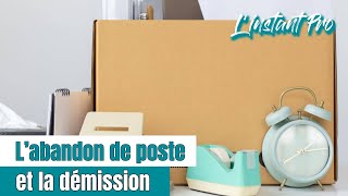 L'abandon de poste  et la démission - L'instant pro #39