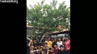 Kumpulan lagu cover scalava acoustic bikin baper