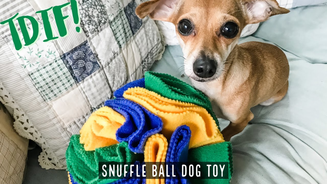 How to Make Your Own Snuffle Ball - A Snufflemat Alternative - Tails We Win