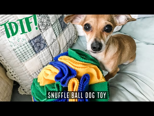 How to make a DIY Snuffle Ball Dog Toy 