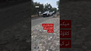 Moment just after gunman shoots tourists at historic Mexican pyramid - BBC URDU