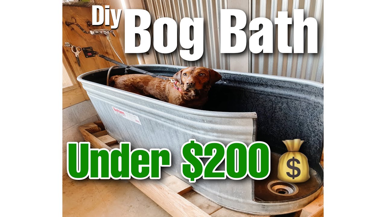 Dog Tubs for a Self Service Dog Wash - DOGTUBS.COM 