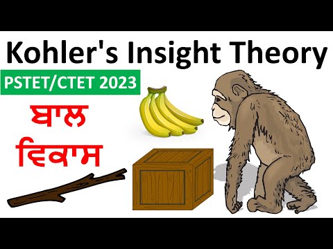 Insight Theory of Kohler
