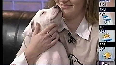 Allison Foulk with Helotes Humane Society on San A...