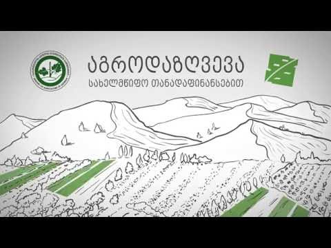 როგორ მუშაობს აგროდაზღვევის პროგრამა?