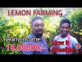 LEMON FARMING IN ASSAM ll YEARLY INCOME 18LAKH ll