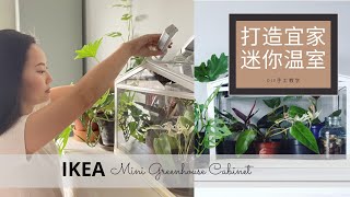 IKEA Mini Greenhouse Cabinet DIY Tutorial | 教你如何轻松打造迷你宜家温室/热带植物的急救室！