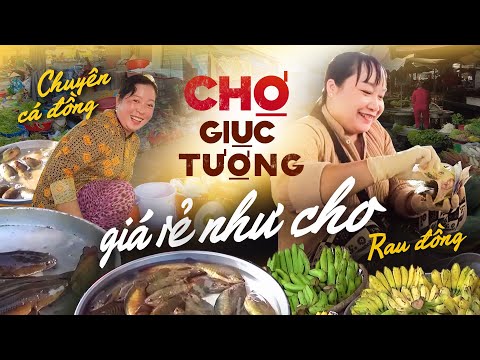 Khám Phá Chợ Giục Tượng - Kiên Giang | Chợ Này Chuyên Bán Cá Đồng, Rau Đồng, Giá Rẻ Như Cho