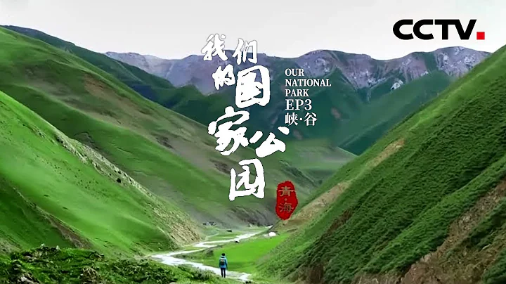 《青海·我们的国家公园》EP3 三江源国家公园：世界海拔最高、中国面积最大的国家公园 新生和古老在这里交替【CCTV纪录】 - 天天要闻