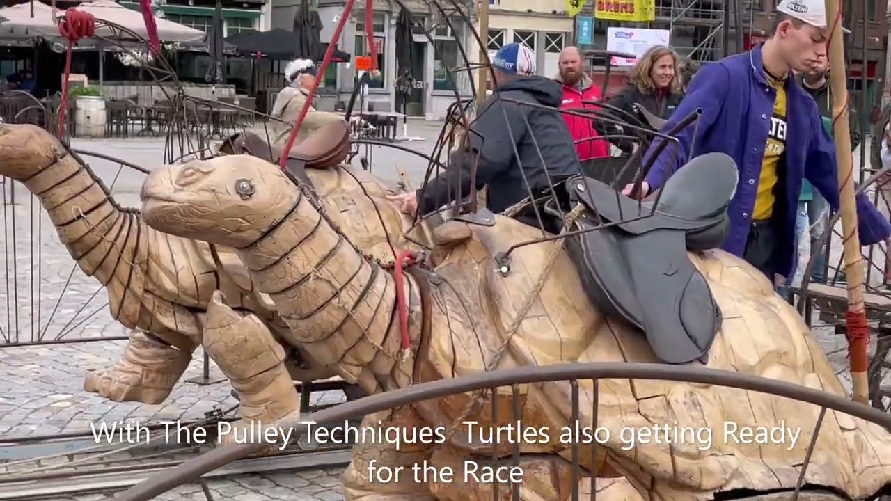 Turtles Race