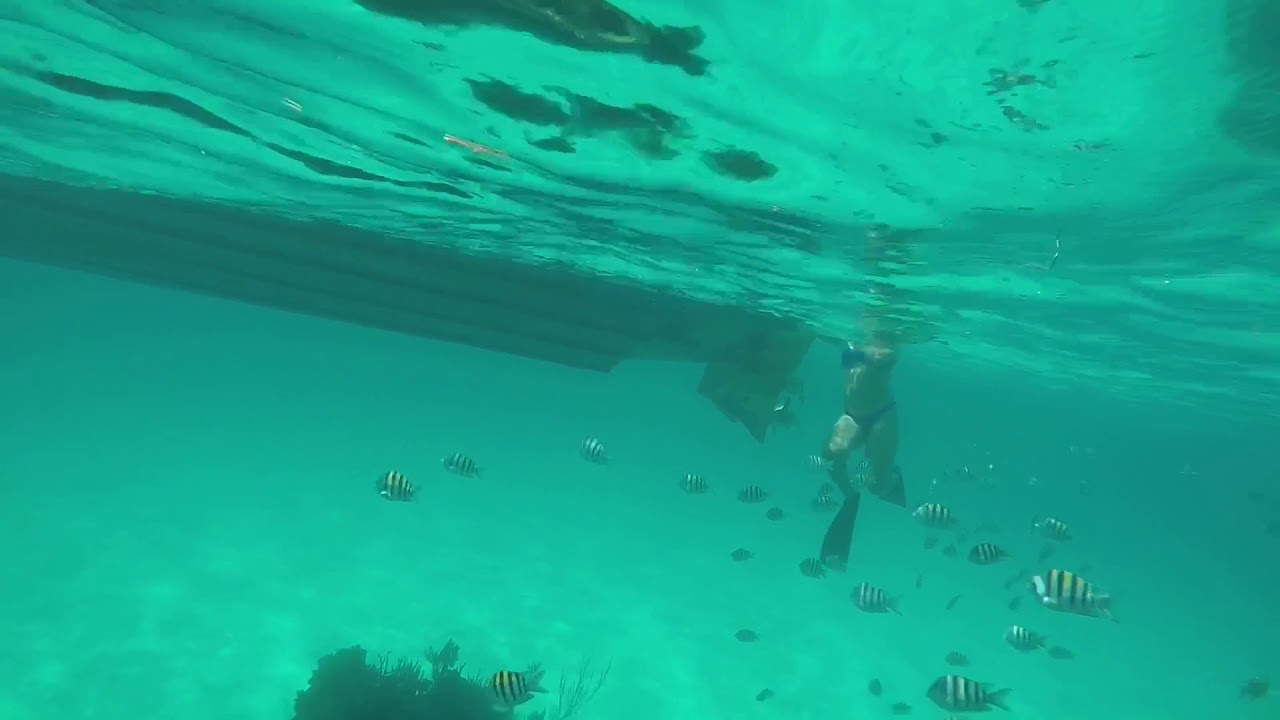 Snorkeling adventure with Born Free Charters - YouTube