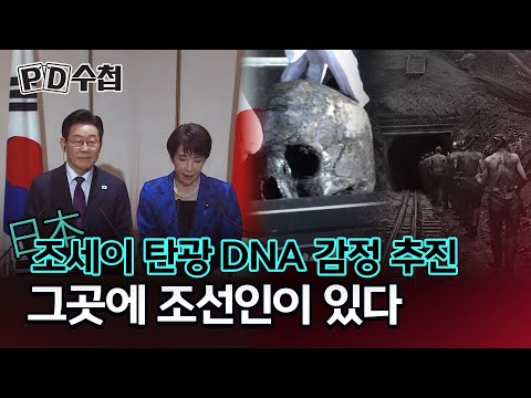[PD수첩] 조세이 탄광 <strong>DNA</strong> 감정 추진, 그곳에 조선인이 있다 - 2025년 7월 29일 방송