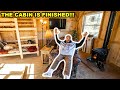 My BACKYARD OFF-GRID CABIN is COMPLETE!!! (Full Tour)