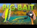 BIG BAIT Balam 245 Pour Pêcher Le BROCHET mp3