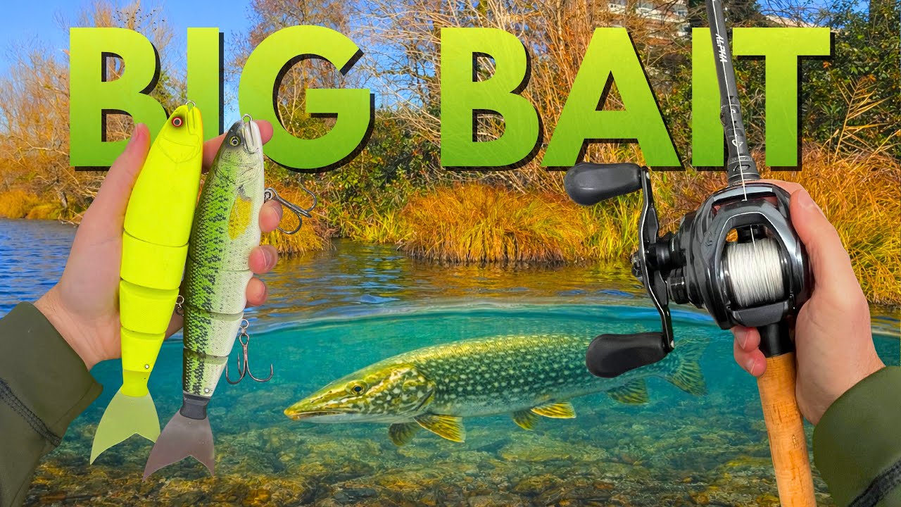 BIG BAIT (Balam 245) pour Pêcher le BROCHET !!