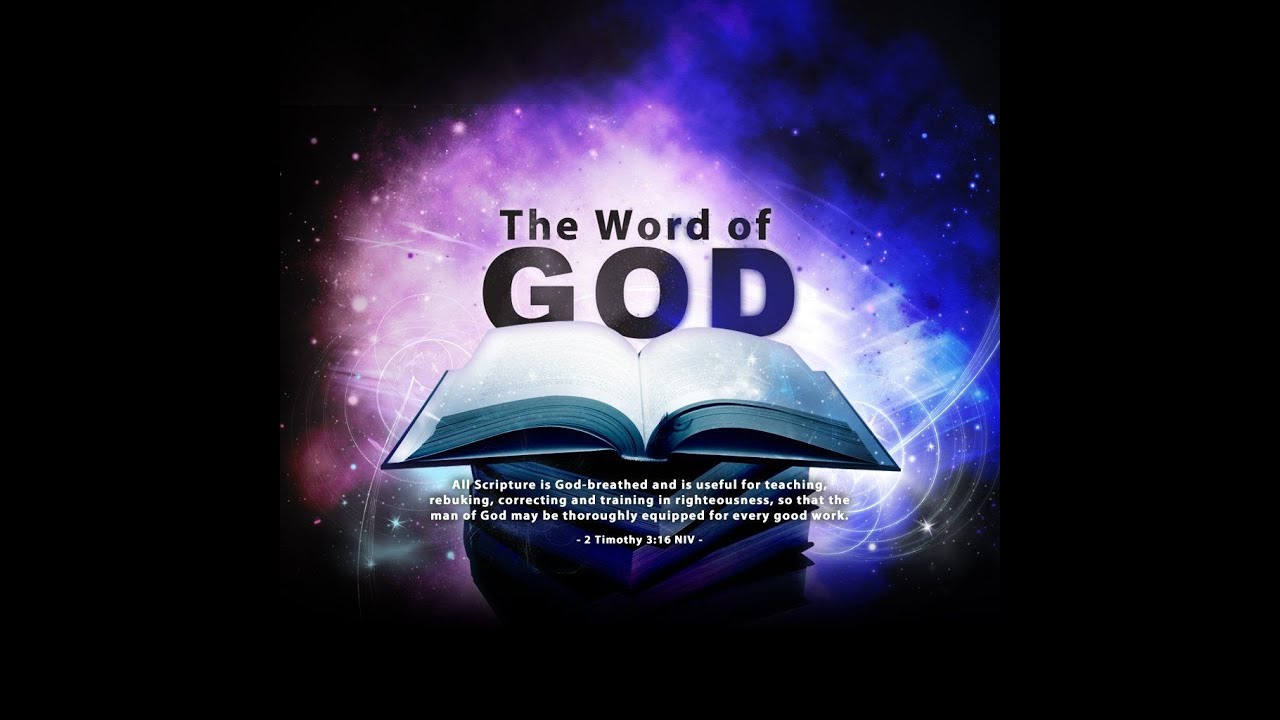 Backyard Sanctuary: The Entire Bible is Inspired by God