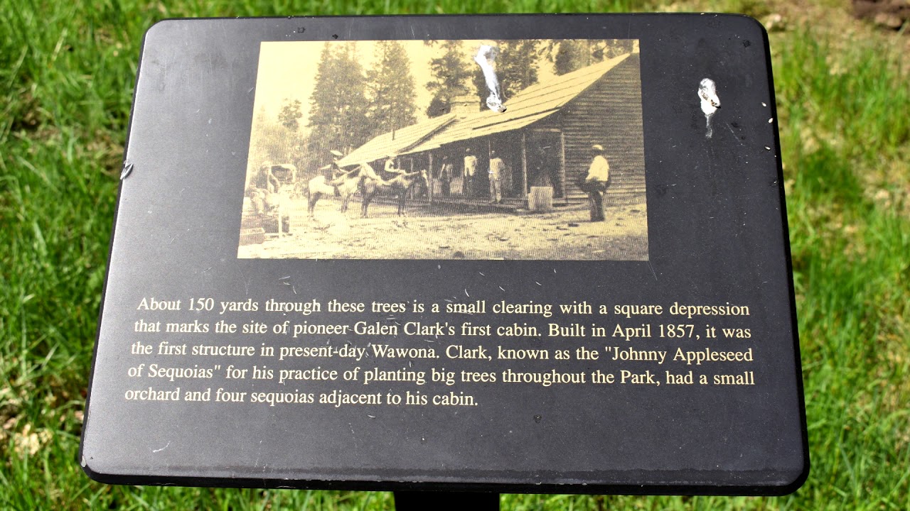 Wawona Journal 9: Secrets of Wawona: Galen Clark's Meadow