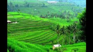 Lagu Sunda Reumis Girimis Kasedih