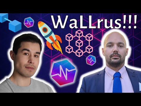 PulseChain Updates!  - with Walrus