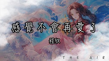 程欣 - 感覺不會再愛了『是你讓我不再相信愛情了 這一次我感覺不會再愛了』【動態歌詞】