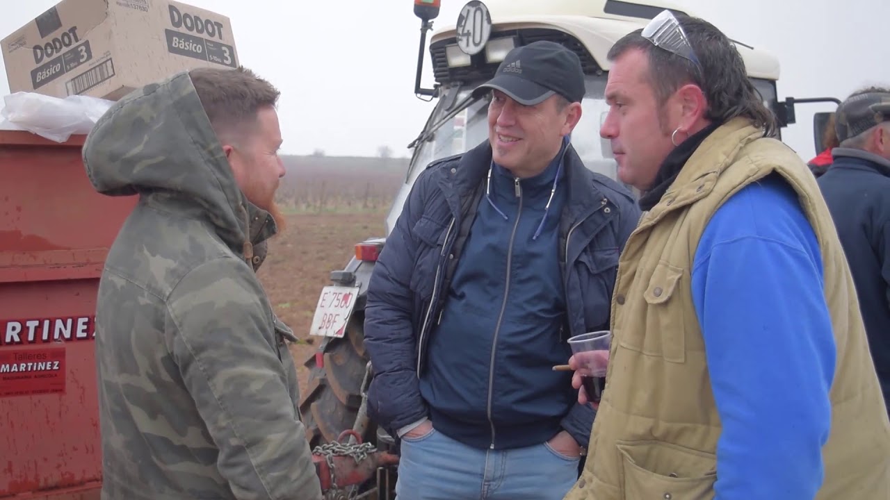 Concurso de poda de viña en Elciego  - Concours de taille de vigne à Elciego 2020