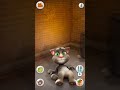 Talking Tom Says No 81 Shorts Talking Tom Says No 81 Shorts
