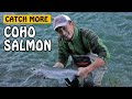 HOW TO CATCH MORE VEDDER RIVER COHO SALMON | Fishing with Rod