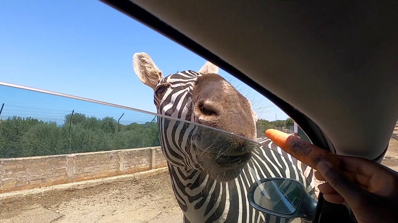 safari zoo bari