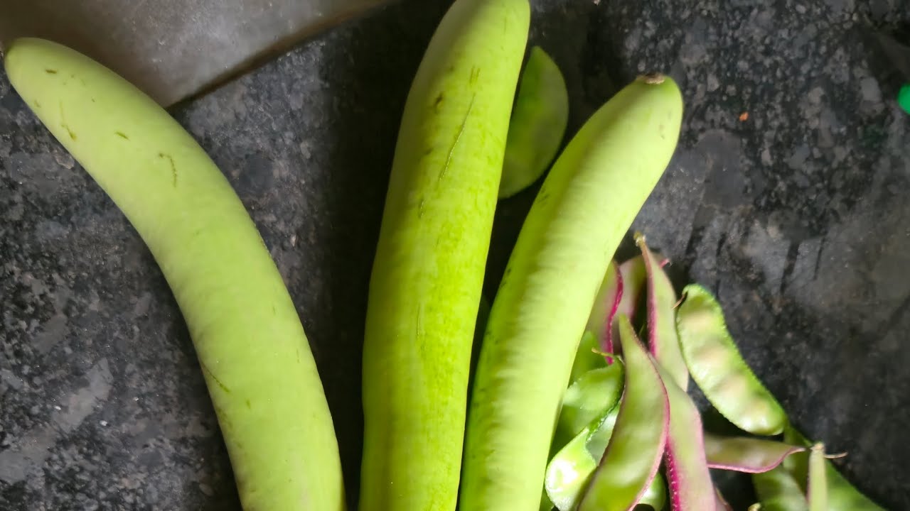 A small harvest in my terrace .. #brinjal #long brinjal #avarai #purple