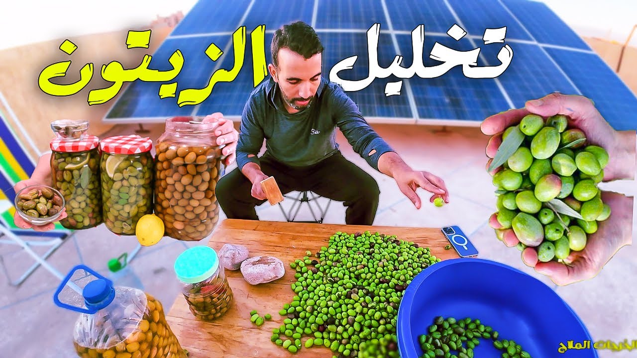 🫒 الطريقة التقليدية لتخليل الزيتون الأخضر🌿 Traditional Green Olive Pickling Method🍋