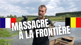 Enquête Sur Les Chasseurs Français Qui Canardent Les Oiseaux Belges