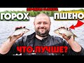 🔥 Горох VS Пшено, ЧТО ЛУЧШЕ для Фидерной Рыбалки!? Народная рыбалка в Украинке. Рыбалка на фидер