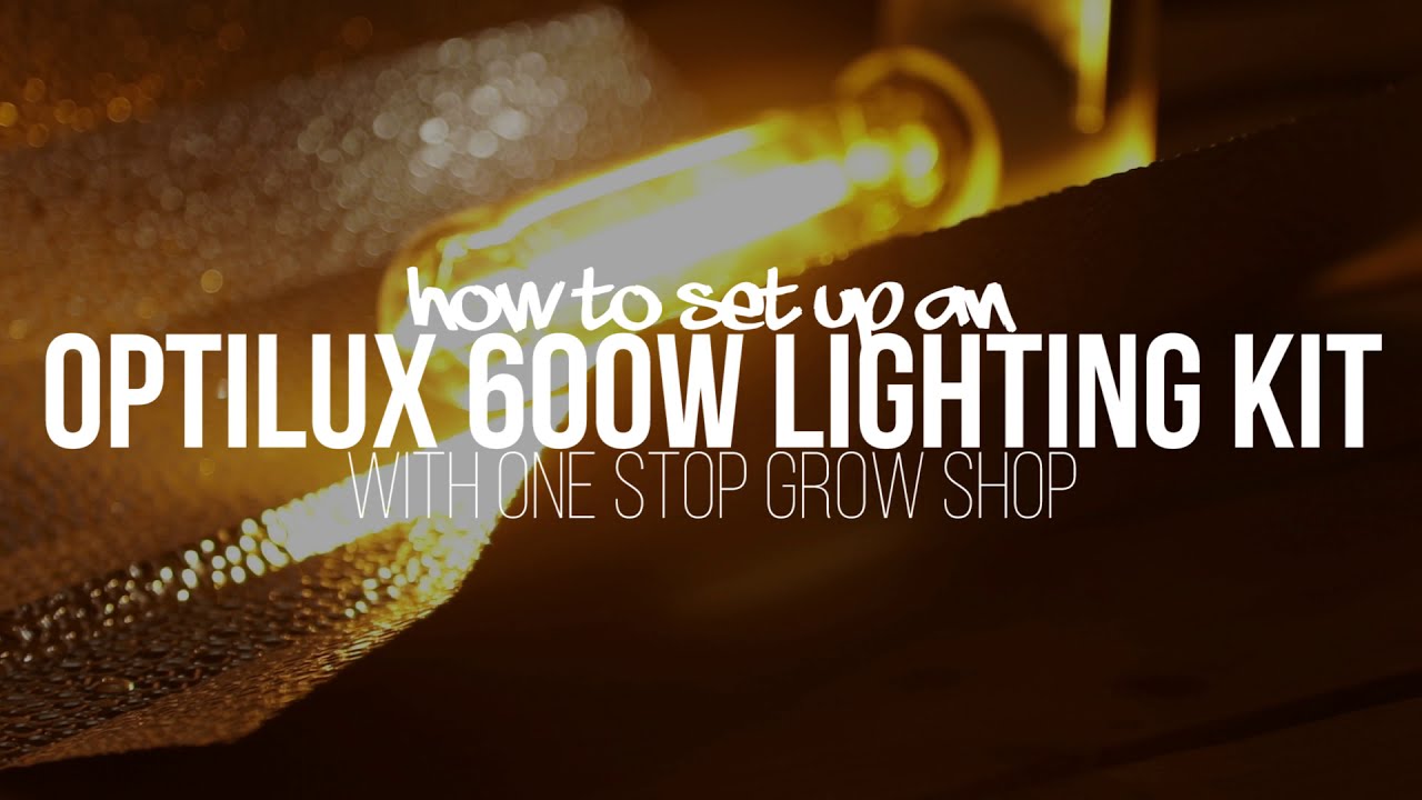 How to setup a 600w Lighting Kit