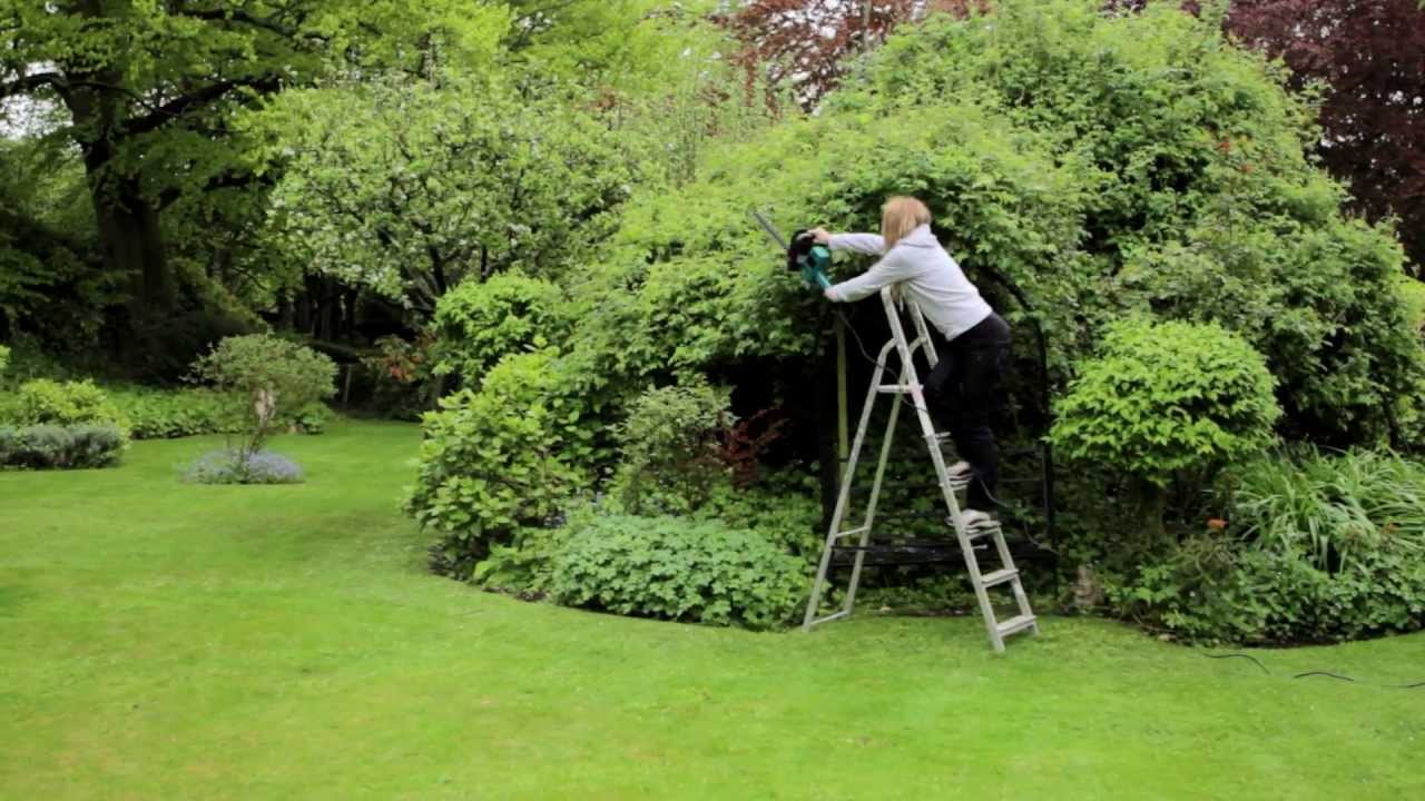 eckman telescopic hedge trimmer